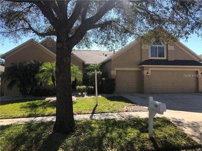 4319 Buckhorn Groves Ct, Valrico, FL, 33596