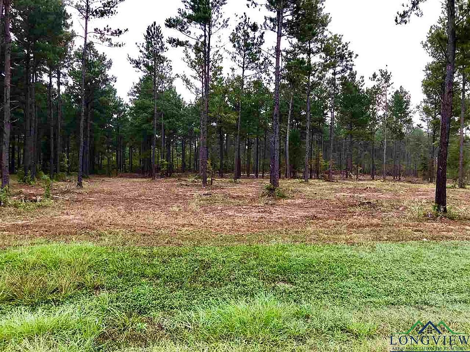 2nd image of LOT 13 County Road 2160d