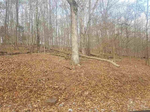 2nd image of 208 Toqua Ln