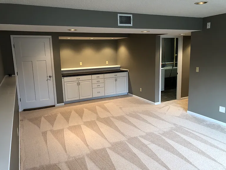 Basement storage and utility closet.