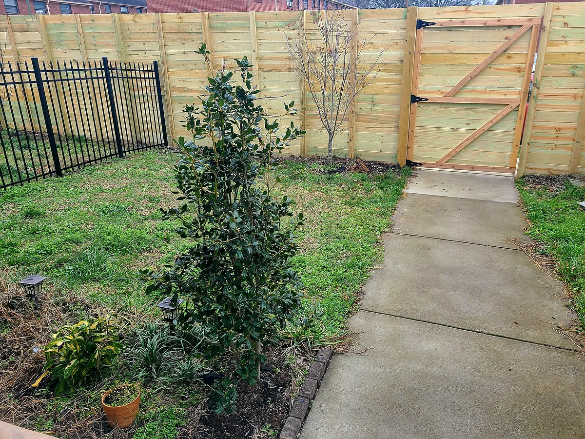 Front Yard - 1219B 14th Ave S