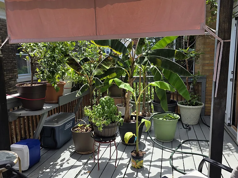 5905 Elgin St #2 — Photo 39