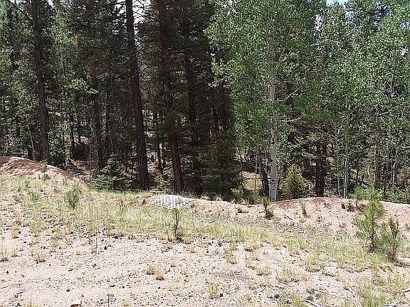 3rd image of 71 Montana Cir