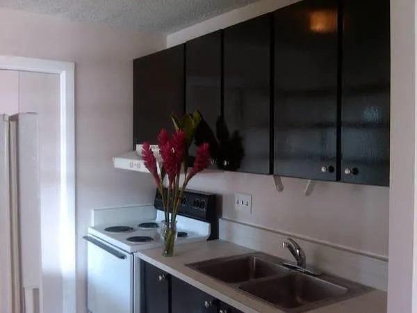 2442 Kuhio Ave #1103 — Photo 6