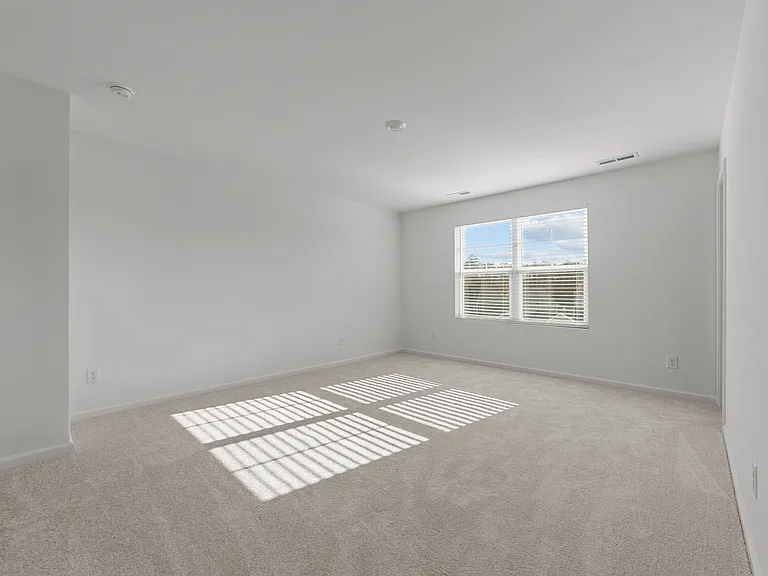 825 Basswood Glen Trl — Photo 13