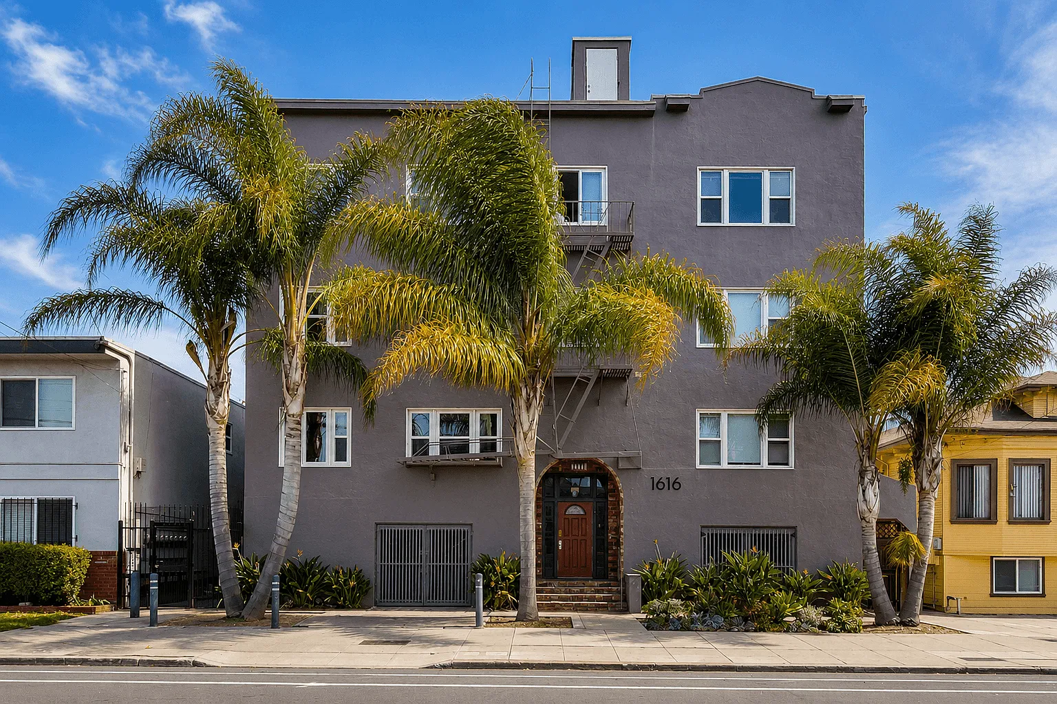 Palm Haus — Photo 1
