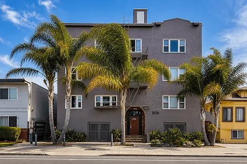 Palm Haus Photo 1