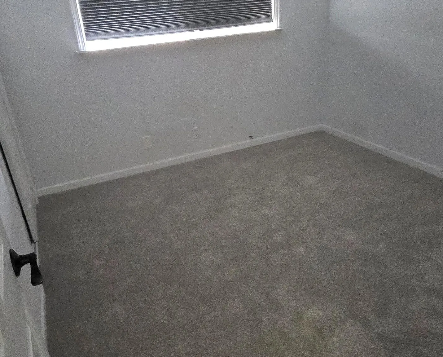 3 bed, 1296 sqft, $2,300 — Photo 1