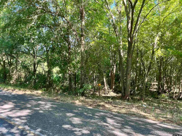 14222 County Road 471, Tyler, TX 75706