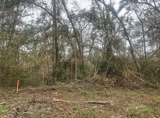 NW Fox Run Trl LOT 72, Mayo, FL 32066