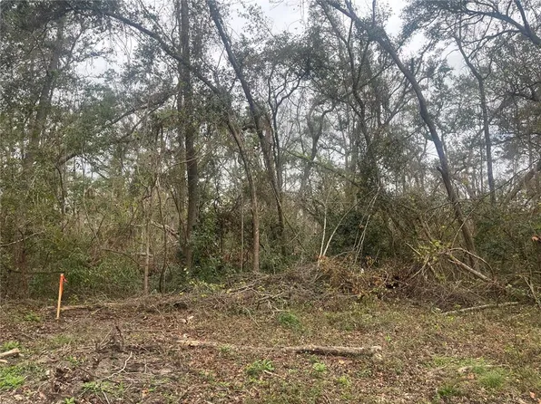 NW Fox Run Trl Lot 72, Mayo, FL 32066