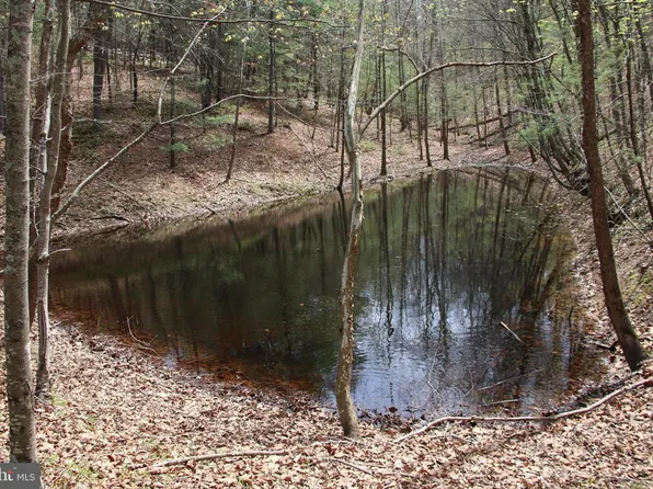 Hodges Ln Lot 14, Winchester, VA 22603