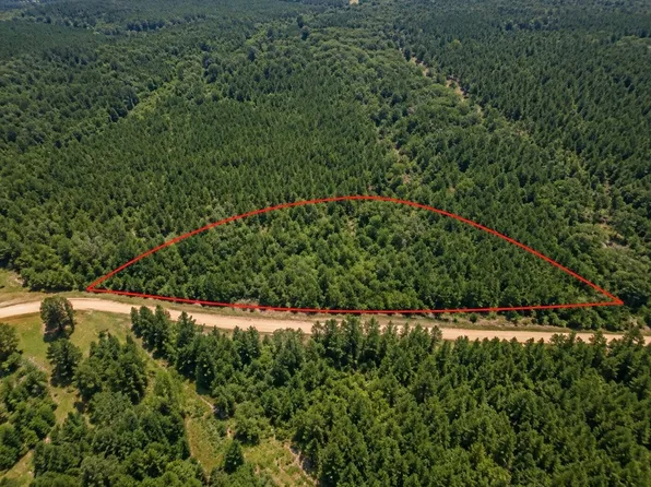 0 Smith County Rd #118, Raleigh, MS 39153