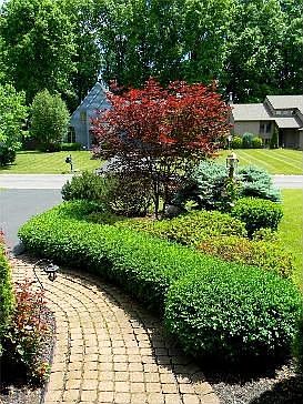 5th image of 6327 Hardwood Ln