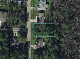 10 Karat Path, Palm Coast, FL 32164