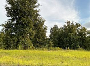 SW 138th Ln LOT 1, Ocala, FL 34473