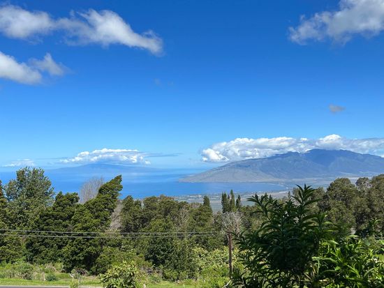 37 Middle Rd #2, Kula, HI 96790