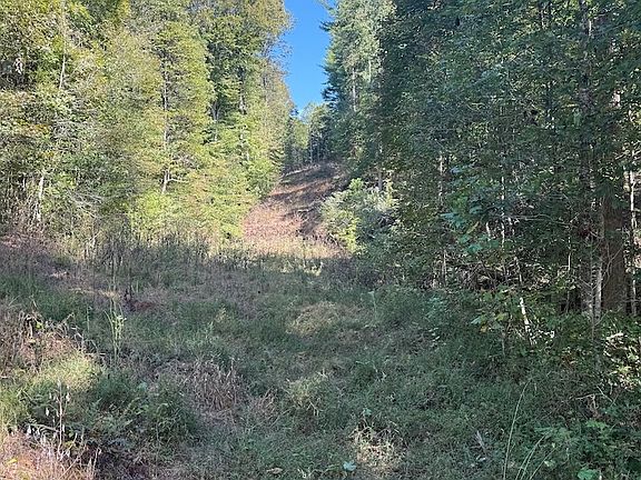 5th image of Mill Creek Rd Lot Wp001