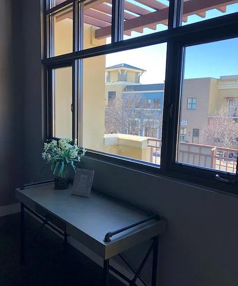 Living Room View