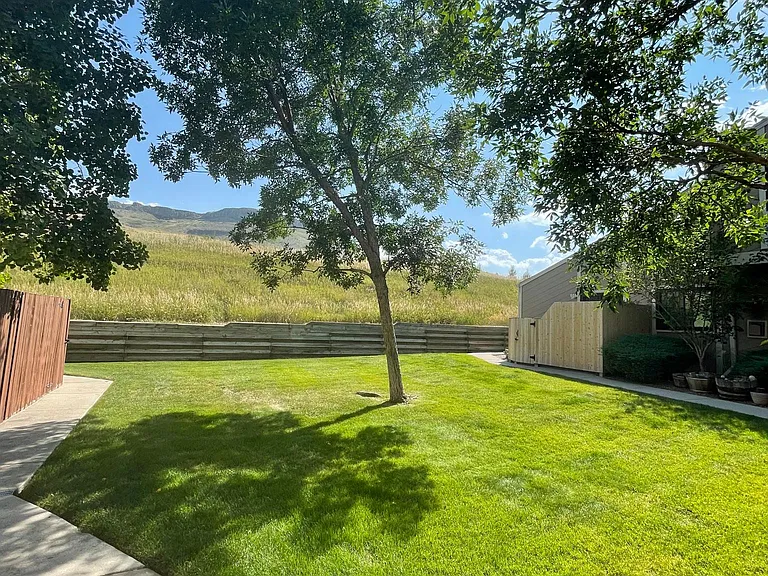 Your Front Yard and View!