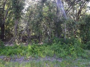 Ruby Ave, Webster, FL 33597