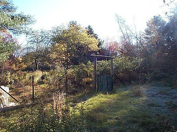 Over grown gardens and meadows.. 