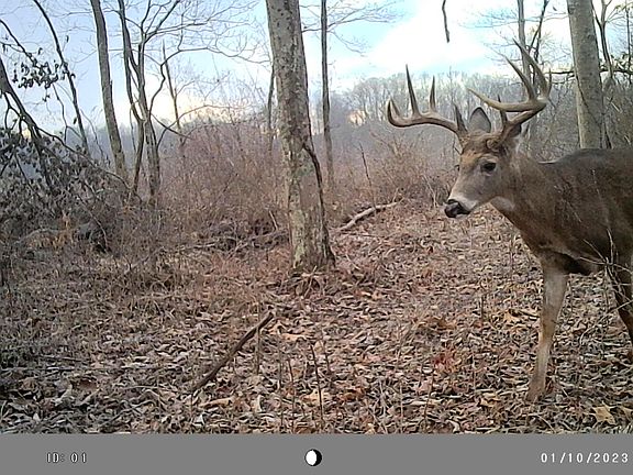 2nd image of 0 Bailey Chapel Rd