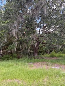 22438 NW 44TH Avenue, Lawtey, FL, 32058