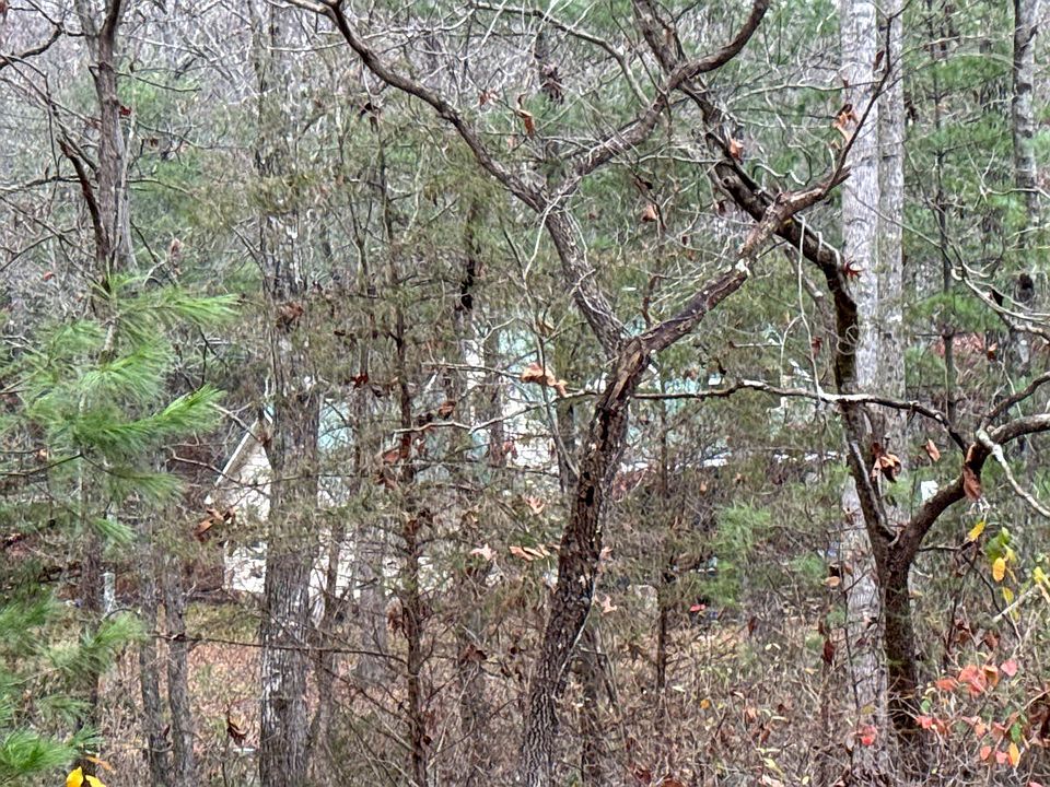 2nd image of 279 Lee Rd