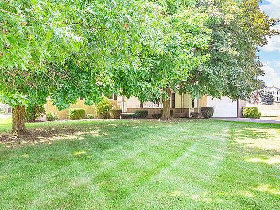 Beautiful Mature Trees