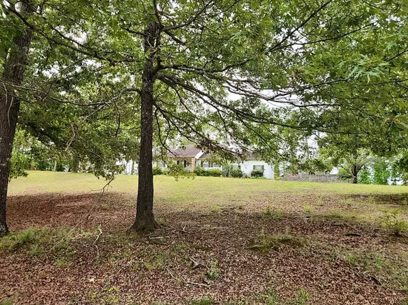 391 Wayne Elam Rd, Ramer, TN 38367