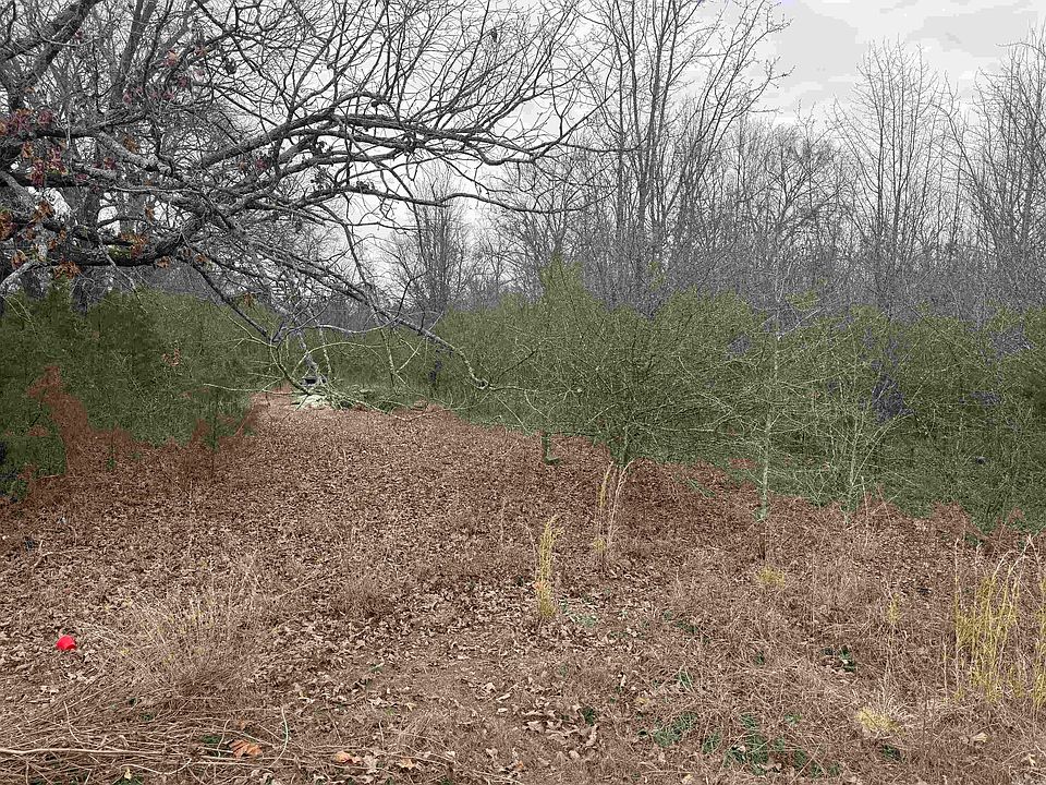 2nd image of 0 Black Rd