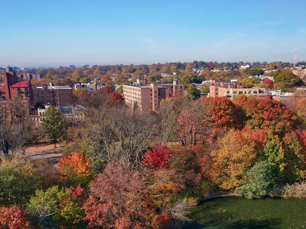 829 Greenwood Avenue image 16 of 17