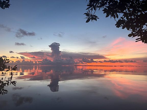 3rd image of 16490 Indiana Ave