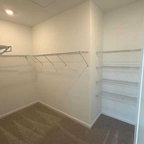 5161 Marlberry Ct — Photo 16