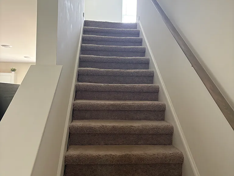 230 Purple Martin Dr — Photo 8
