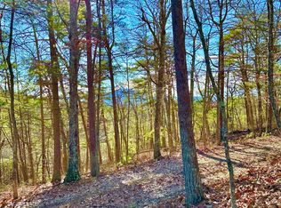 0 Game Trail Way #15, Clifton Forge, VA 24422