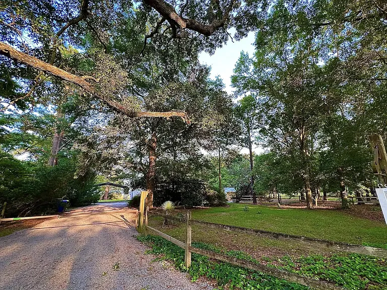 View from New Jack Rd. of the front of the property. Natural foliage offers a ton of privacy.