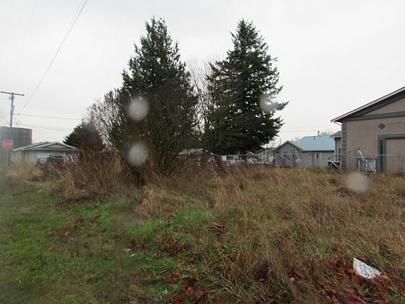 Looking North