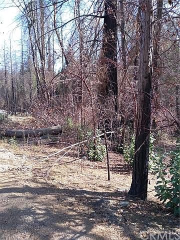 1st image of 58 Sugar Pine Dr