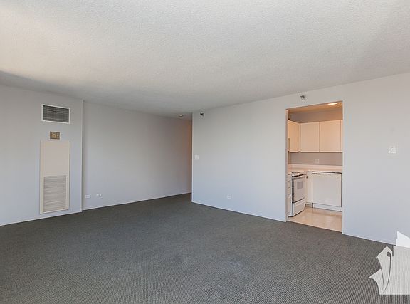 4th image of 440 N Wabash Ave APT 1510