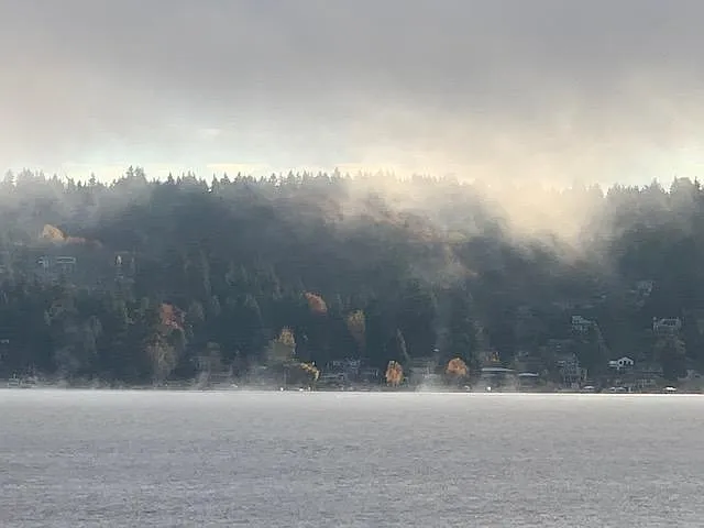 View of Lake from your deck