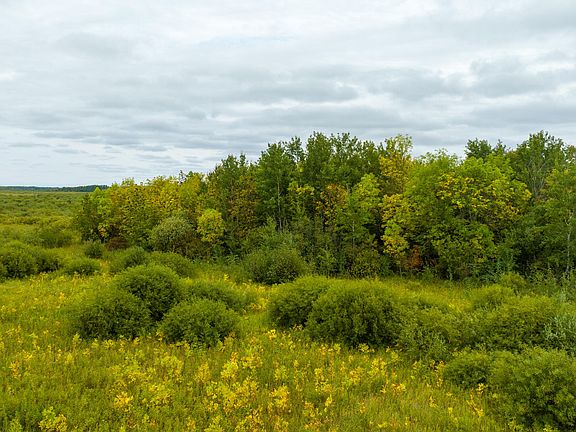 2nd image of 16857 County Road 102