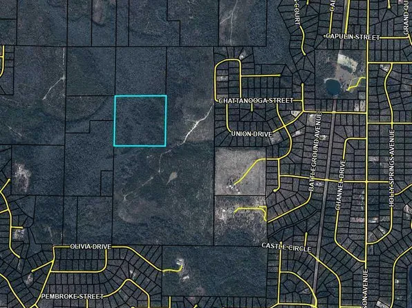 Olivia Dr, Alford, FL 32420