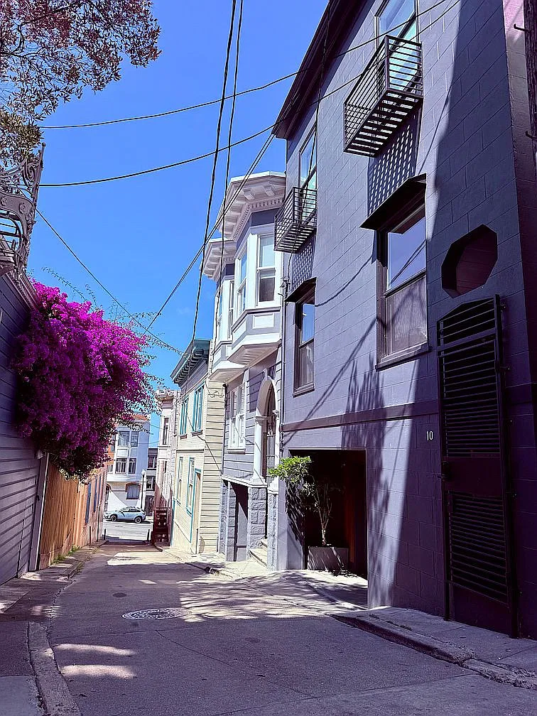 1 bed, 600 sqft, $6,500 — Photo 3
