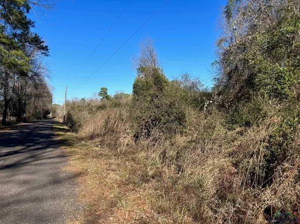 Tbd Long John Rd, Marshall, TX 75672