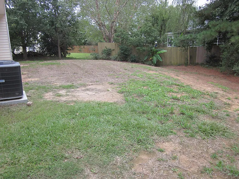 Large backyard