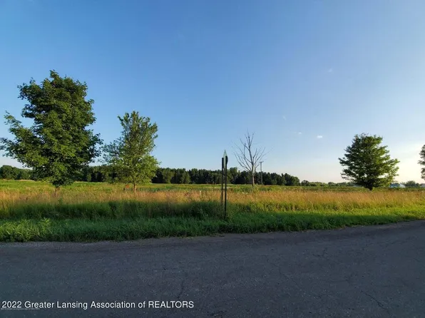 NULLA Krantz Rd, Holt, MI 48842