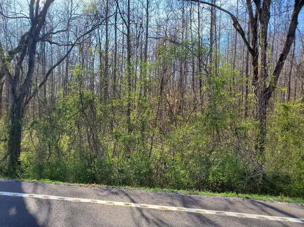 6 State Highway 304, Decatur, TN 37322