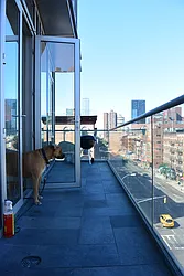 Rented by Maz Group NY